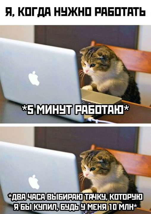 #мем #shorts - YouTube