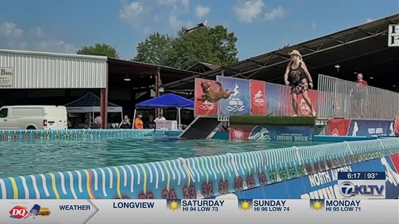 Regional dog dock-diving competition continues in Longview