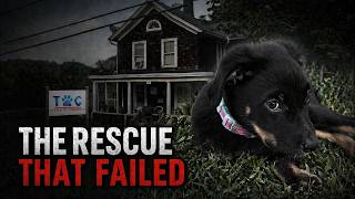 The Sick Puppy Scandal that SHOCKED Connecticut! - Episode 2
