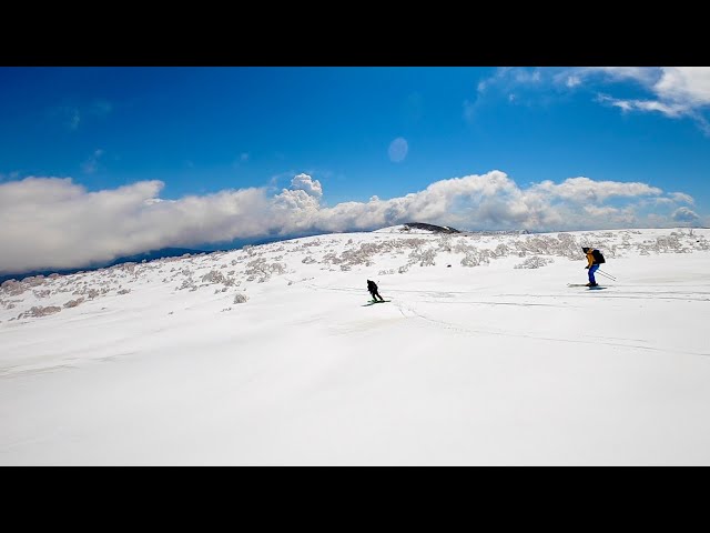 鳥海山 山スキー 祓川から七高山 2022/5/5 | 山登りのページ