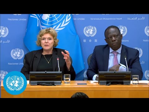 Peaceful assembly & human rights defenders: un special rapporteurs press conference | united nations