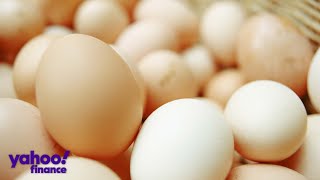Why eggs are becoming more expensive, according to Vital Farms CEO Wealth