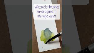 Your Watercolor Brush is a Water Boss!