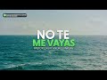 Pastor Caury Andrés Vargas | No Te Me Vayas (Videoletra)