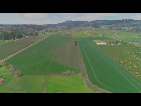 17733 NE North Valley Rd, Newberg, OR home video tour