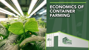 Revolutionizing Farming: Pure Greens Shipping Container Farms!