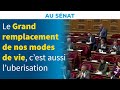 Le Grand remplacement de nos modes de vie, c'est aussi l'uberisation | Stéphane Ravier