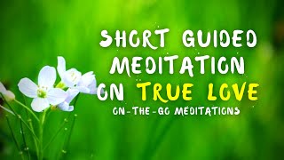 True Love: Practicing in a Relationship | On-The-Go Meditation Guided by Brother Phap Huu