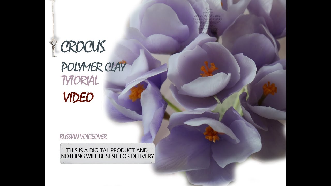 Крокус /Crocus©