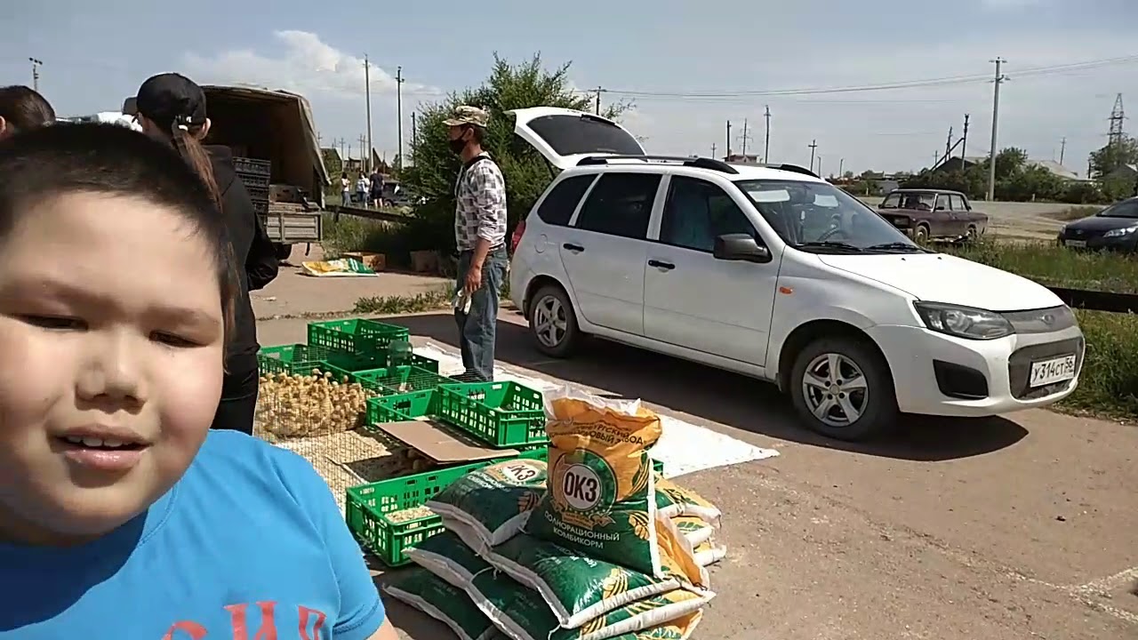 Адамовка ясный ларгус Адамовка ясный ларгус
