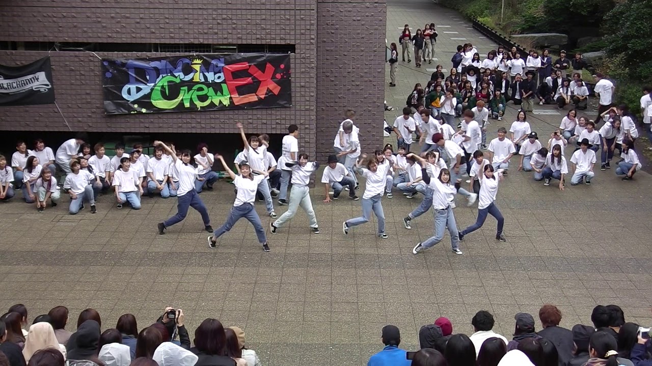 Dancing Crew Ex 日本大学ダンスサークル 公式 日本大学生物資源 藤沢市 Dancingcrewex 神奈川県