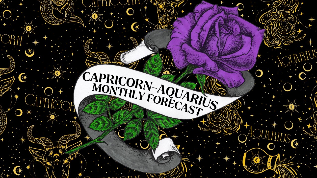 capricorn aquarius cusp 𖧷 cancer season forecast 𖧷 timeless tarot reading