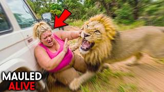 The Most BIZARRE Safari Attacks Ever Recorded!