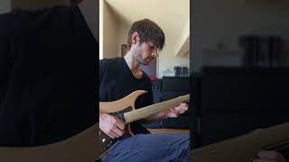 Debunking the most common fretless guitar myth #guitar #fretless #guitarist #mythbusting