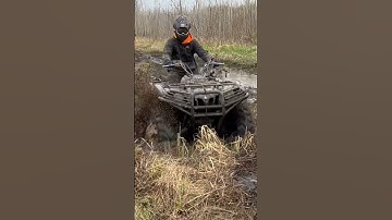 Grizzly 700 Vs Flooded Swamp