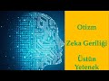 Otizm, Zeka Geriliği ve Üstün Yetenek