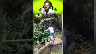 2026 try not laugh ✔ 53 #fail #viral #short #funny #memes