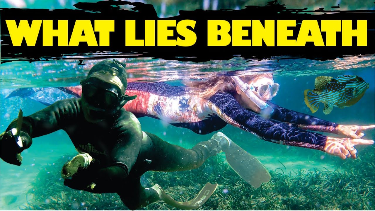 BURNERS BEACH BUSH CAMP FREE DIVING PERFECTION AT FLAHERTYS BEACH