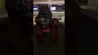 Devasal Goril Ki̇ng Kong İstanbul Da Türkiye De