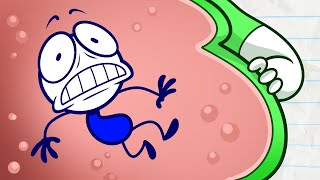 "To Bean or Not to Bean" Tasty BEAN Compilation 2022 | Pencilmation Cartoons!