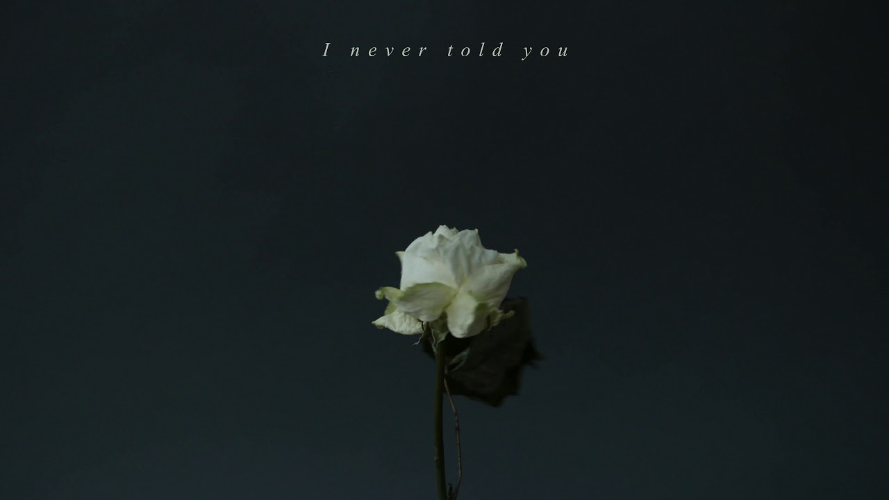 Guarda The Howl & The Hum - Until I Found A Rose (Lyric Video) su YouTube Guarda The Howl & The Hum - Until I Found A Rose (Lyric Video) su YouTube