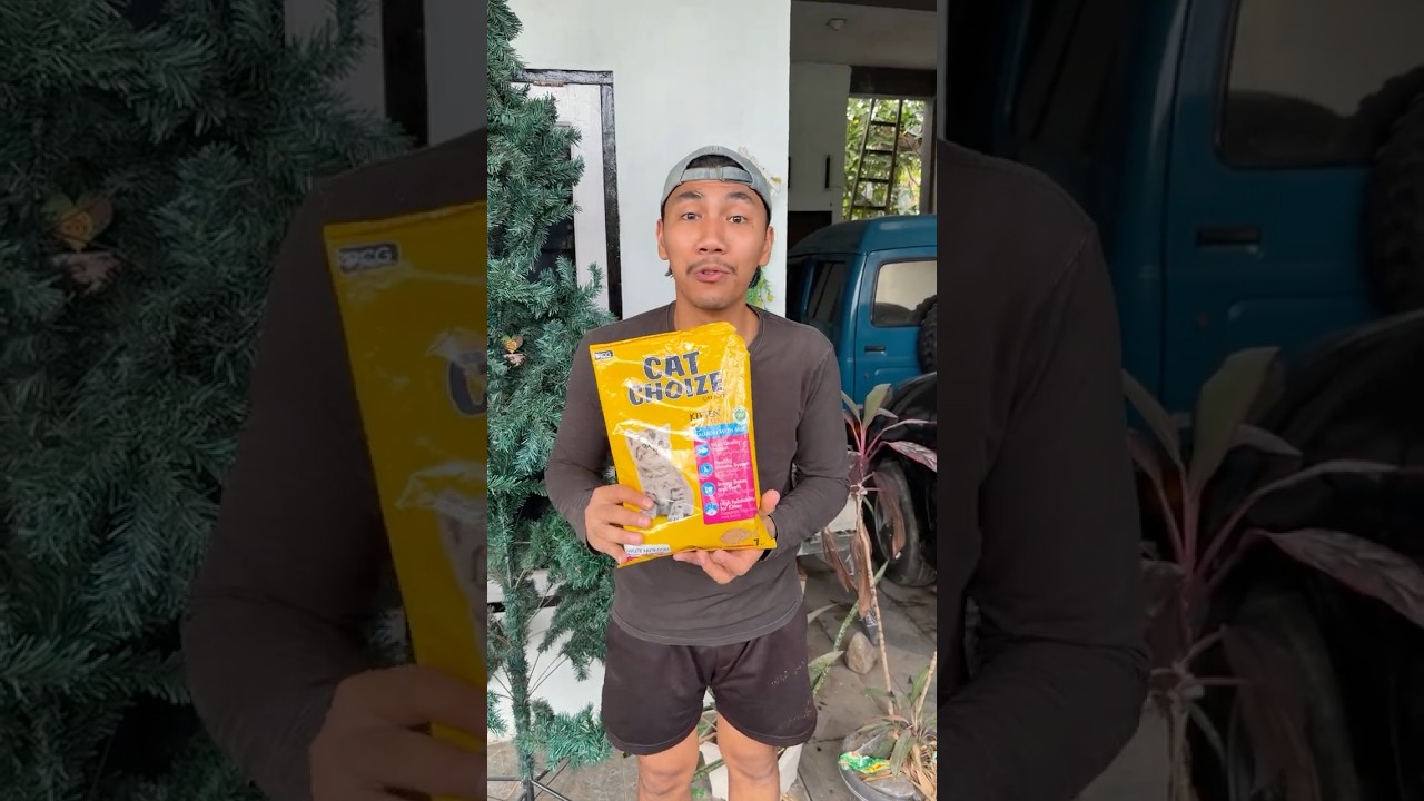 kasih makan kucing jadi kicau mania