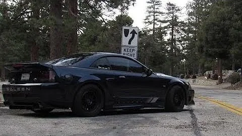 Maximum motorsports caster camber plates how to