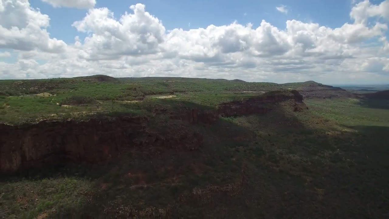 MUDANÇAS CLIMÁTICAS PODEM AFETAR A ORGANIZAÇÃO DE ECOSSISTEMAS NA CAATINGA