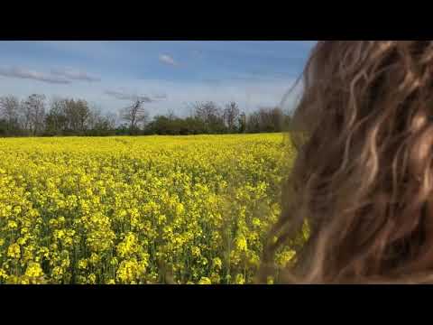 КРЫМ. Рапсовое поле