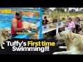Tuffy Itna Dar Jayega…Kisi Ne Expect Nahi Kiya😥 | First Swim Mini Vlog | The Shukla Sisters 