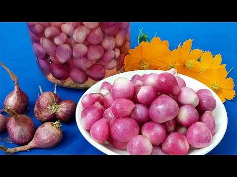 Video: Hành Ngọt Ngon Nhất