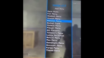 MW2 mod menu showcase