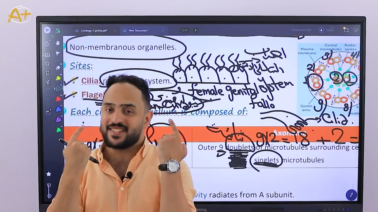 Lec 3 histology علاج طبيعي ماست (physical therapy MUST)