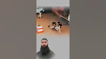 أنهى تمرينه وبجواره كلاب تملأ المكان بهجة يشاركهم اللعب وكأنهم جزء من إنجازه اكسبلور لايك ترند 