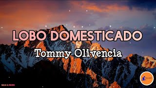 Video thumbnail of "LOBO DOMESTICADO - Tommy Olivencia/ Letra/Salsa/Cali"