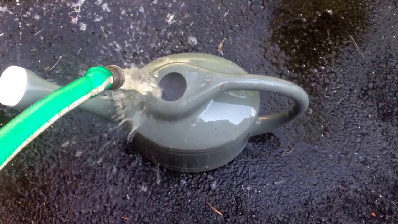 How to get worms out of the ground with dish soap YouTube