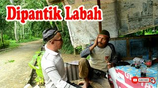 OTA LAPAU