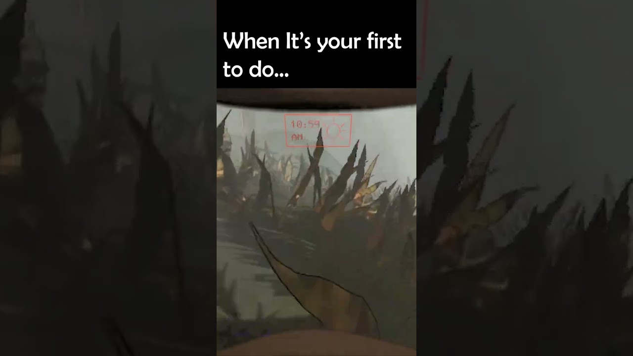 Your first time to get the bees 