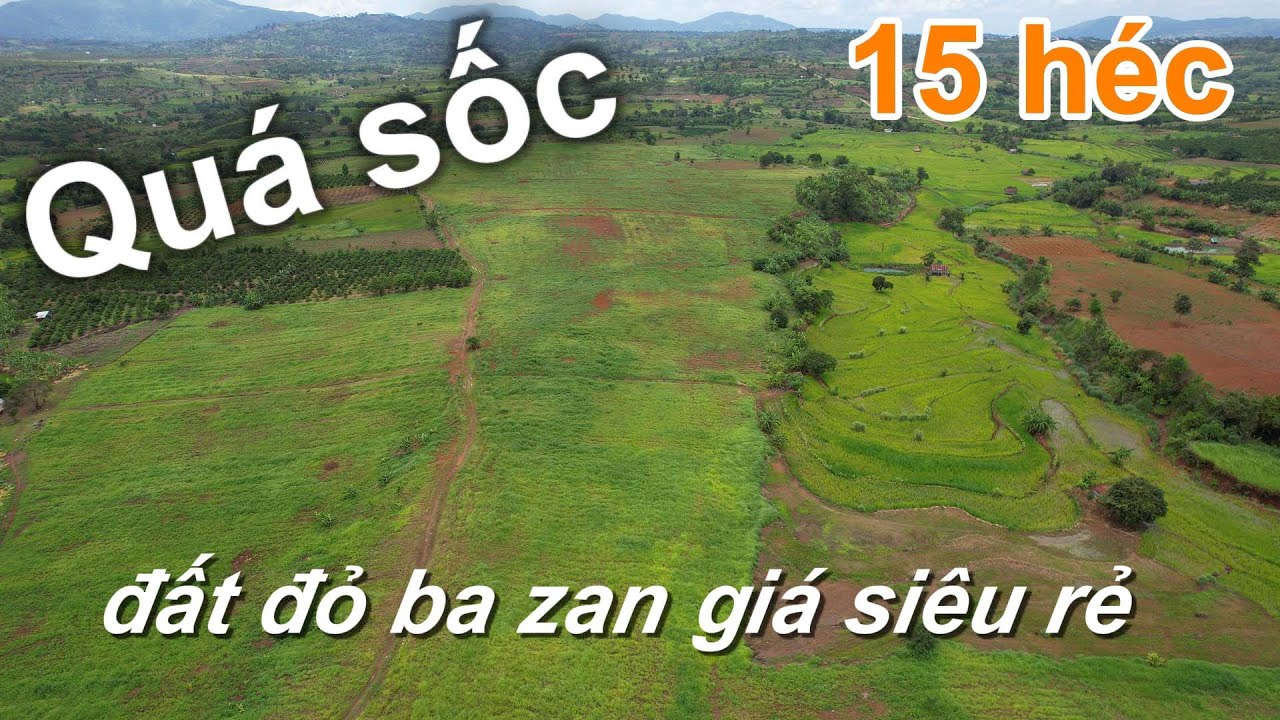 Bán 15 héc đất đỏ ba zan giá siêu rẻ , ĐÃ BÁN 