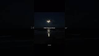 Summertime Sadness X I Wanna Be Yours   lanadelrey arcticmonkeys