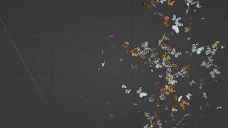 Famous Blender Geometry Nodes - Disintegration Effect Butterflies Net Worth