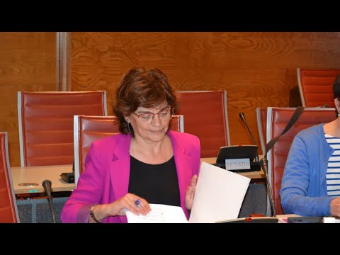 Carme da Silva impulsa un acordo para mellora a protecci&oacute;n das mulleres contra a violencia machista