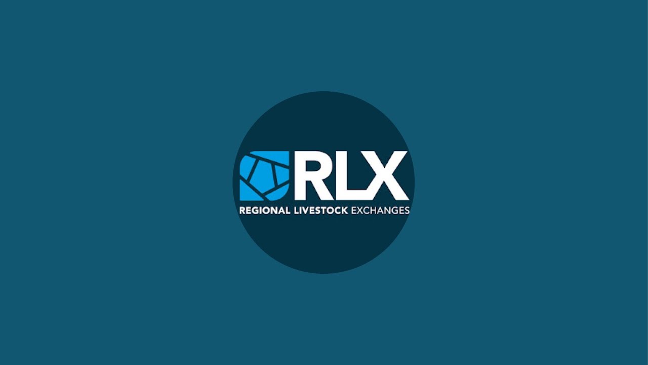 IRLX Prime & Store Cattle Sale - Tuesday 19th November 2024 - YouTube