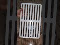 Transparent multi-function drain basket