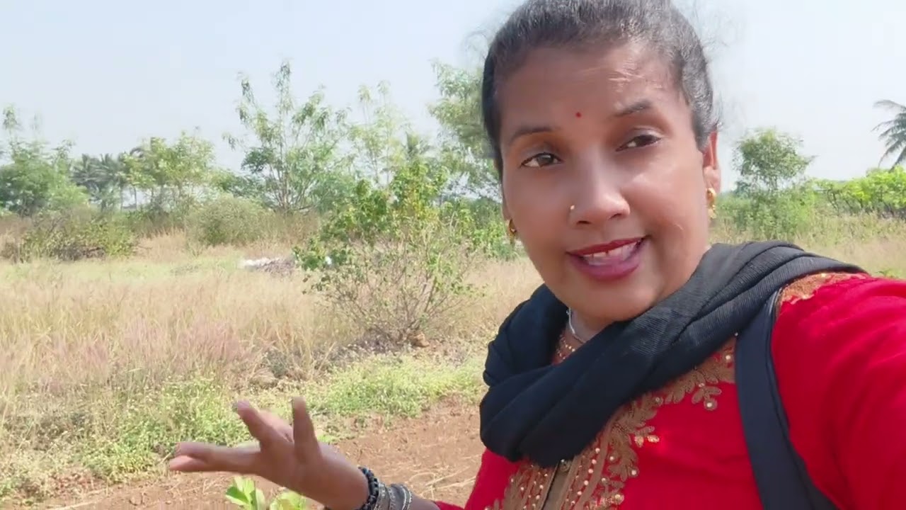 स्मिता ची फॅमिली घेऊन रानामध्ये गेली किती भांडण झाले ते तुम्ही पाहू शकता आप्पाला मारायला धावत होते 