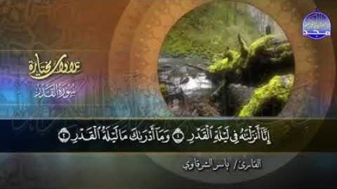 تلاوات مختارة: قناة المجد  سورة " القدر / الكافرون/ الإخلاص| تلاوة قصيرة بصوت القارئ : ياسر الشرقاوي