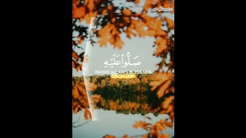 تلاوة خاااشعة - للقارئ/ يوسف العيدروس♥️😍