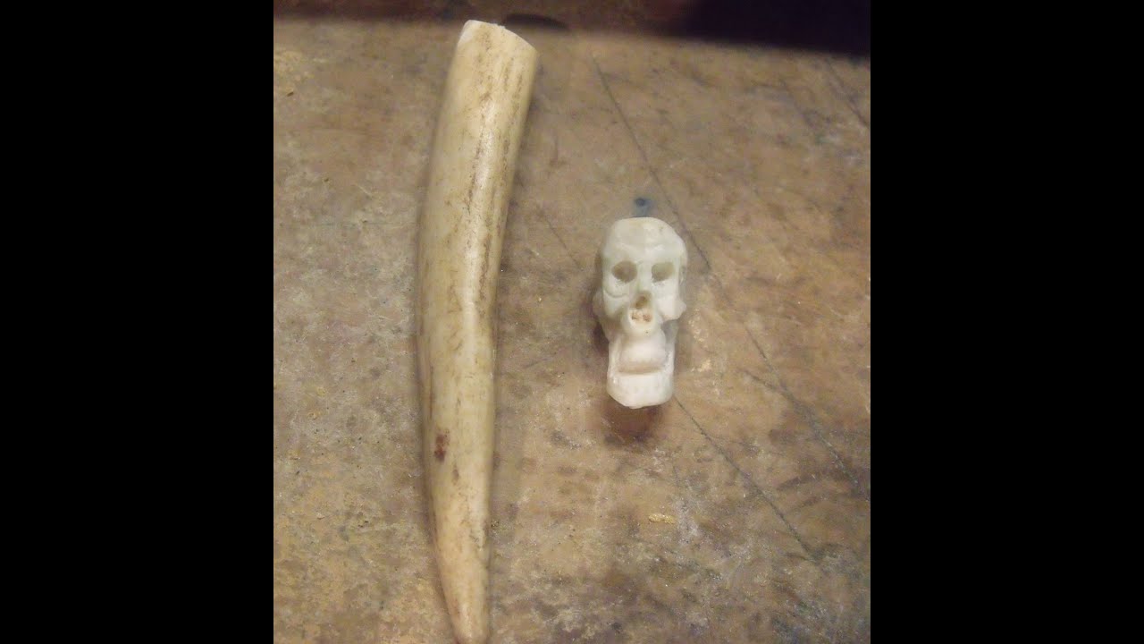 antler tip skull with a Dremel