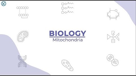 𝗣𝗼𝘄𝗲𝗿𝗵𝗼𝘂𝘀𝗲 𝗼𝗳 𝘁𝗵𝗲 𝗖𝗲𝗹𝗹 — 𝗠𝗶𝘁𝗼𝗰𝗵𝗼𝗻𝗱𝗿𝗶𝗮 | 𝗞𝗜𝗣𝗦 𝗩𝗶𝗿𝘁𝘂𝗮𝗹 𝗠𝗗𝗖𝗔𝗧 𝗕𝗶𝗼𝗹𝗼𝗴𝘆 𝗦𝗲𝗿𝗶𝗲𝘀