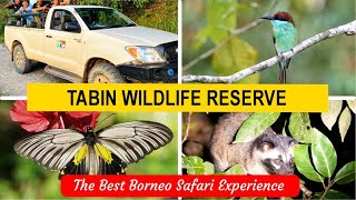 Tabin Wildlife Reserve- The best Borneo safari experience (EP8 Sabah)